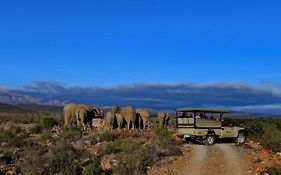 Sanbona Wildlife Reserve